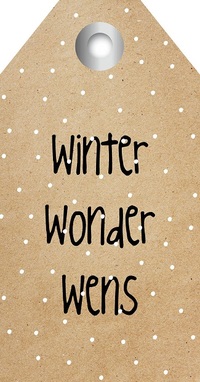Zingever - Winter wonder wens