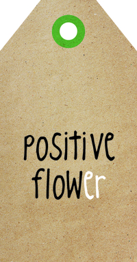 Zingever - Positive flower